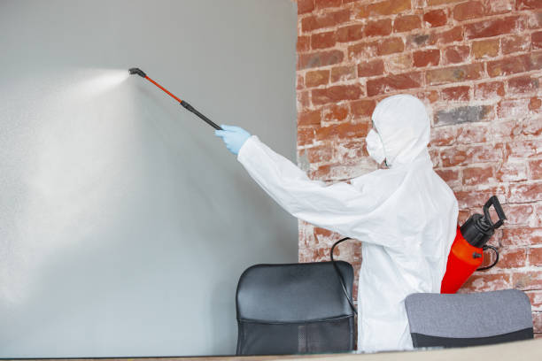 Best Crawl Space Mold Remediation  in Ridge Wood Heights, FL