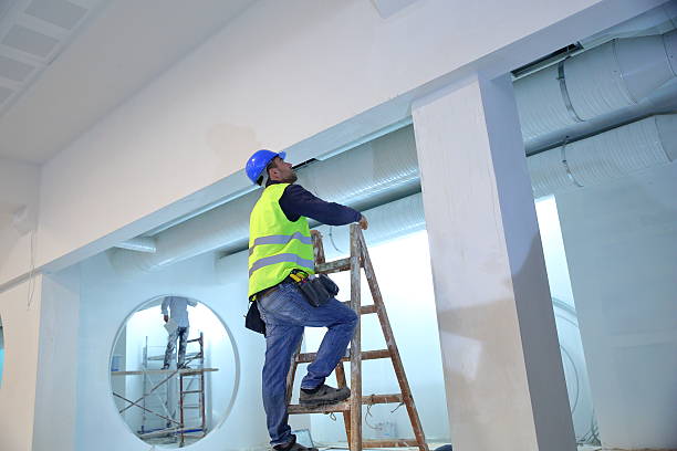 Best Commercial Mold Inspection  in Ridge Wood Heights, FL